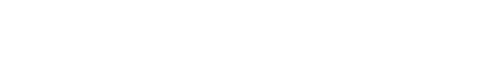 Hipporizz International